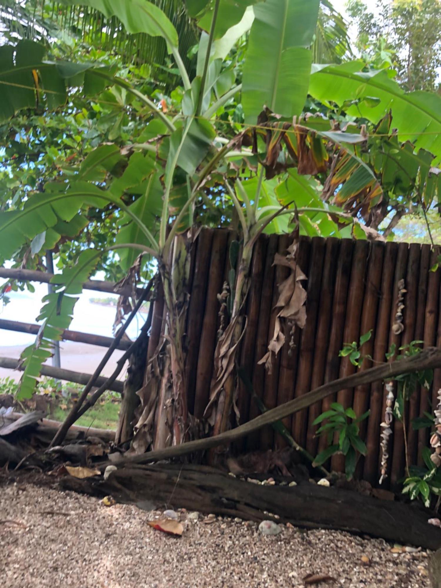 Aposentillo El Marabu Chill'N Surf Bed & Breakfast エクステリア 写真