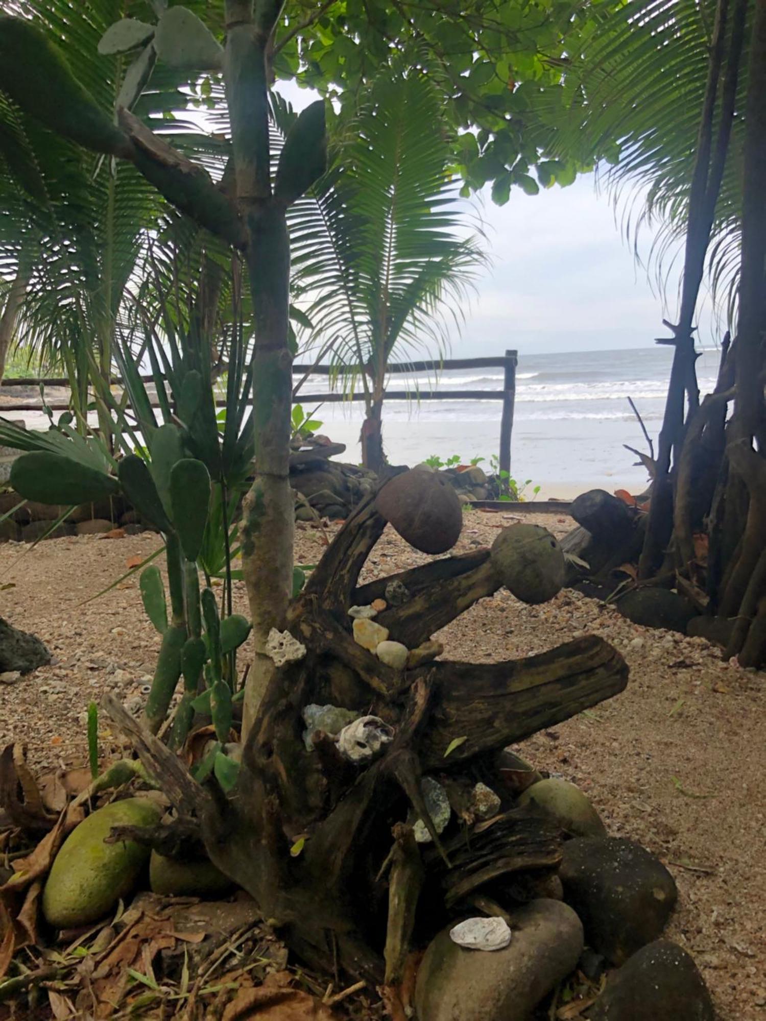 Aposentillo El Marabu Chill'N Surf Bed & Breakfast エクステリア 写真