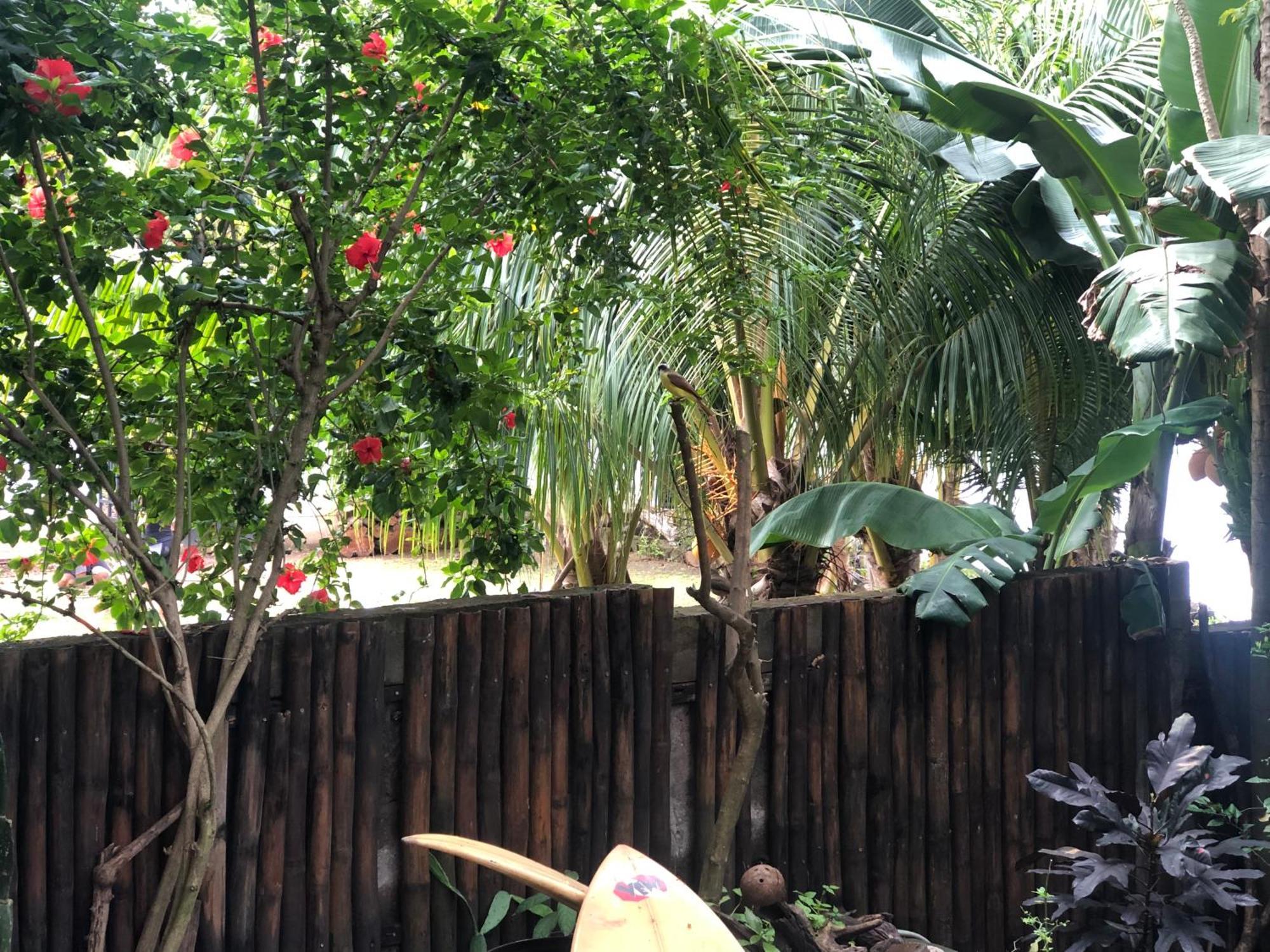 Aposentillo El Marabu Chill'N Surf Bed & Breakfast エクステリア 写真