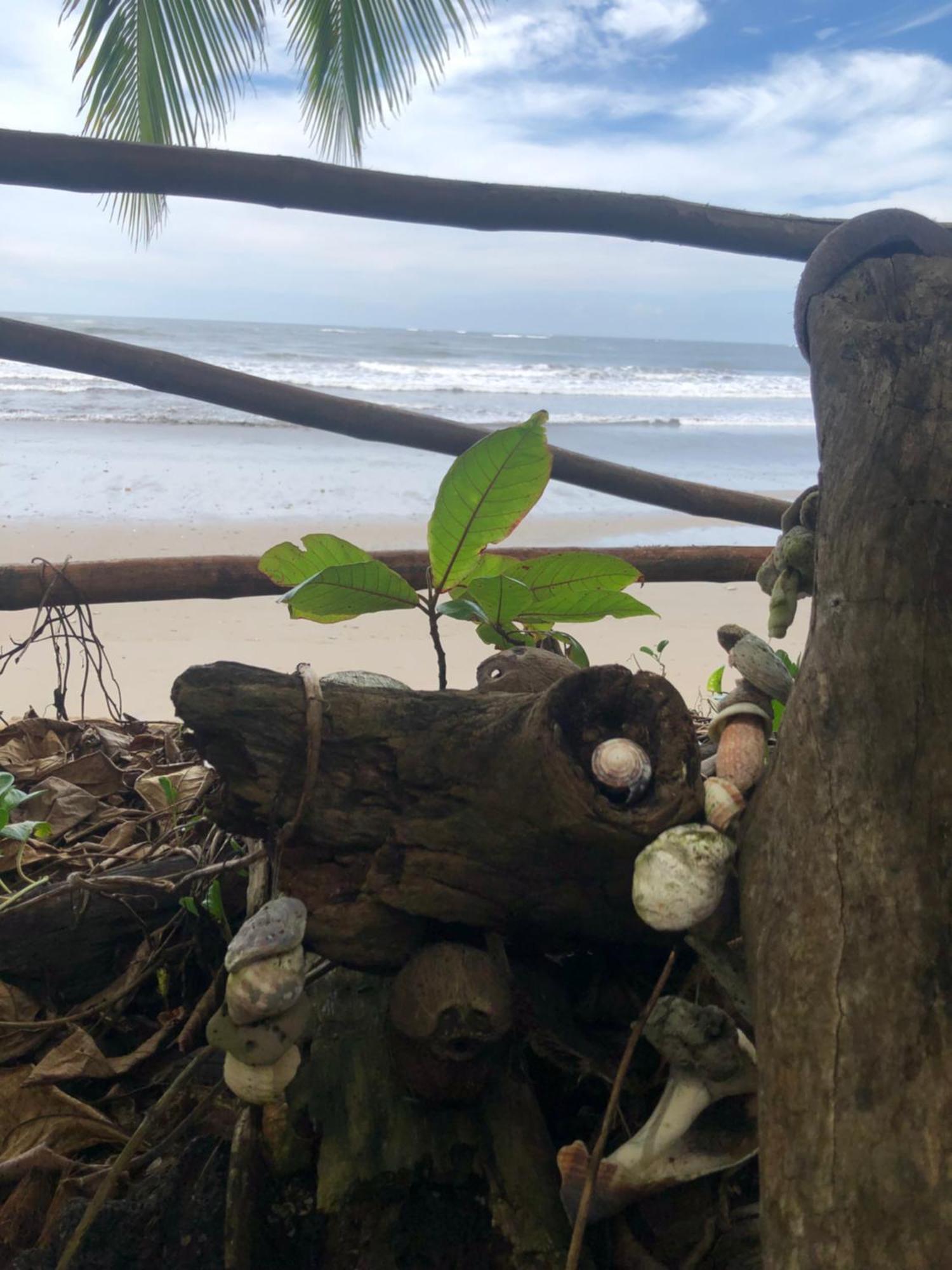 Aposentillo El Marabu Chill'N Surf Bed & Breakfast エクステリア 写真