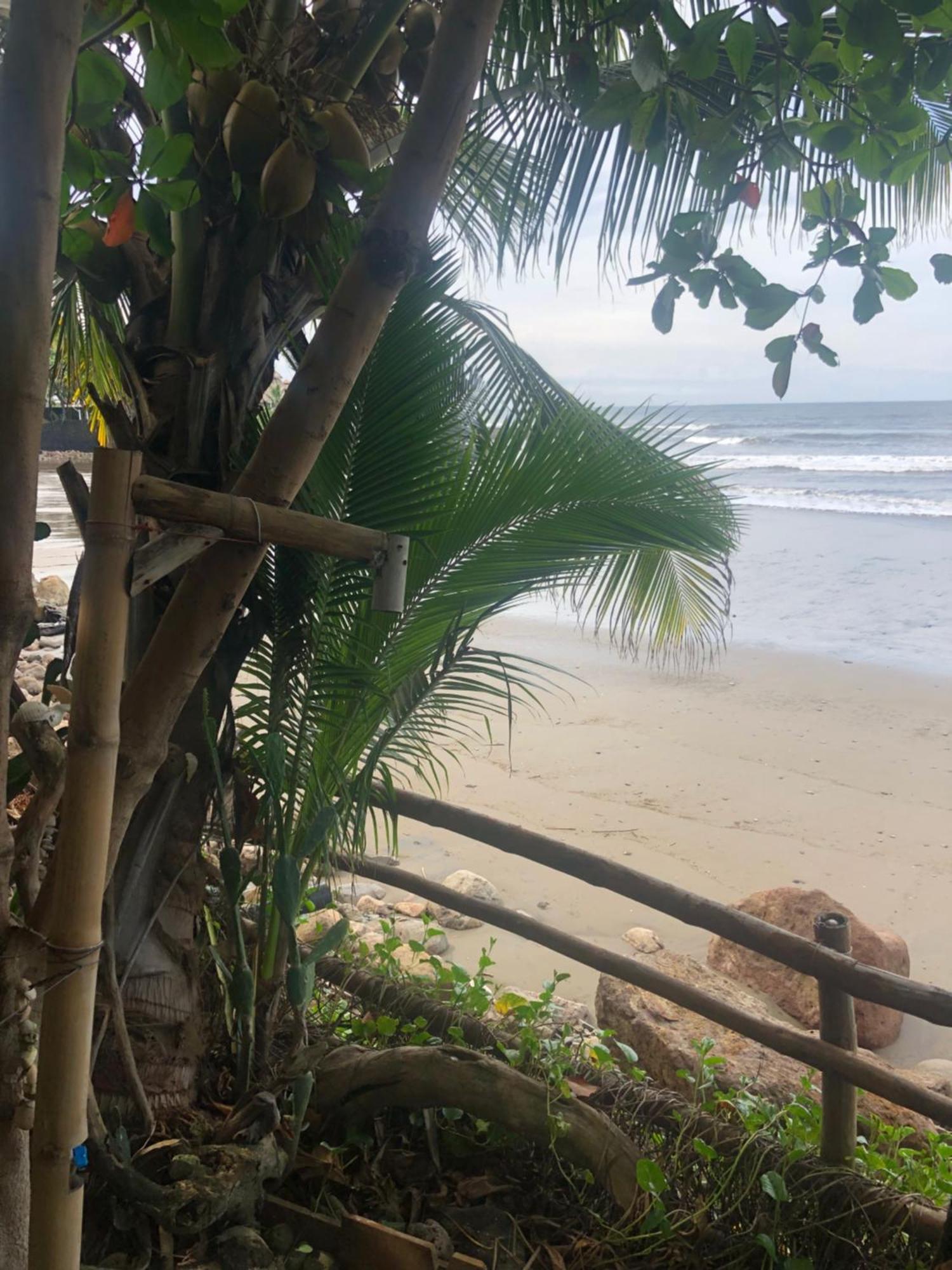 Aposentillo El Marabu Chill'N Surf Bed & Breakfast エクステリア 写真