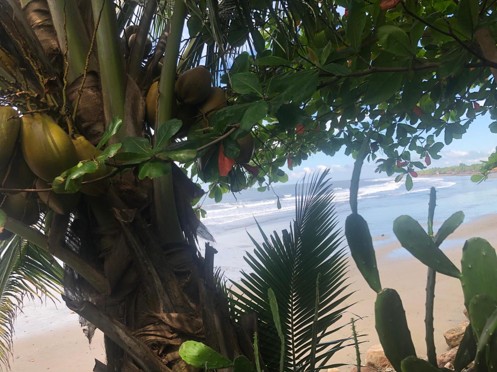 Aposentillo El Marabu Chill'N Surf Bed & Breakfast エクステリア 写真
