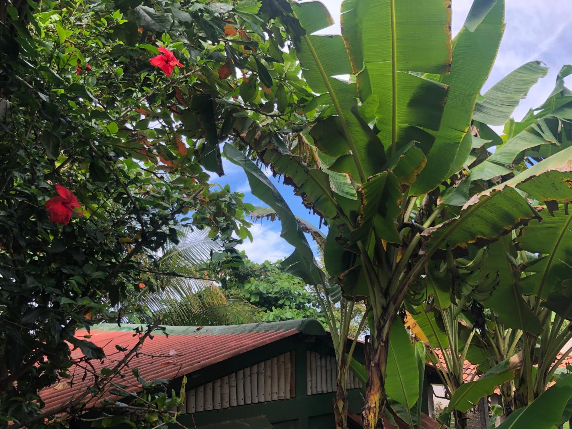 Aposentillo El Marabu Chill'N Surf Bed & Breakfast エクステリア 写真