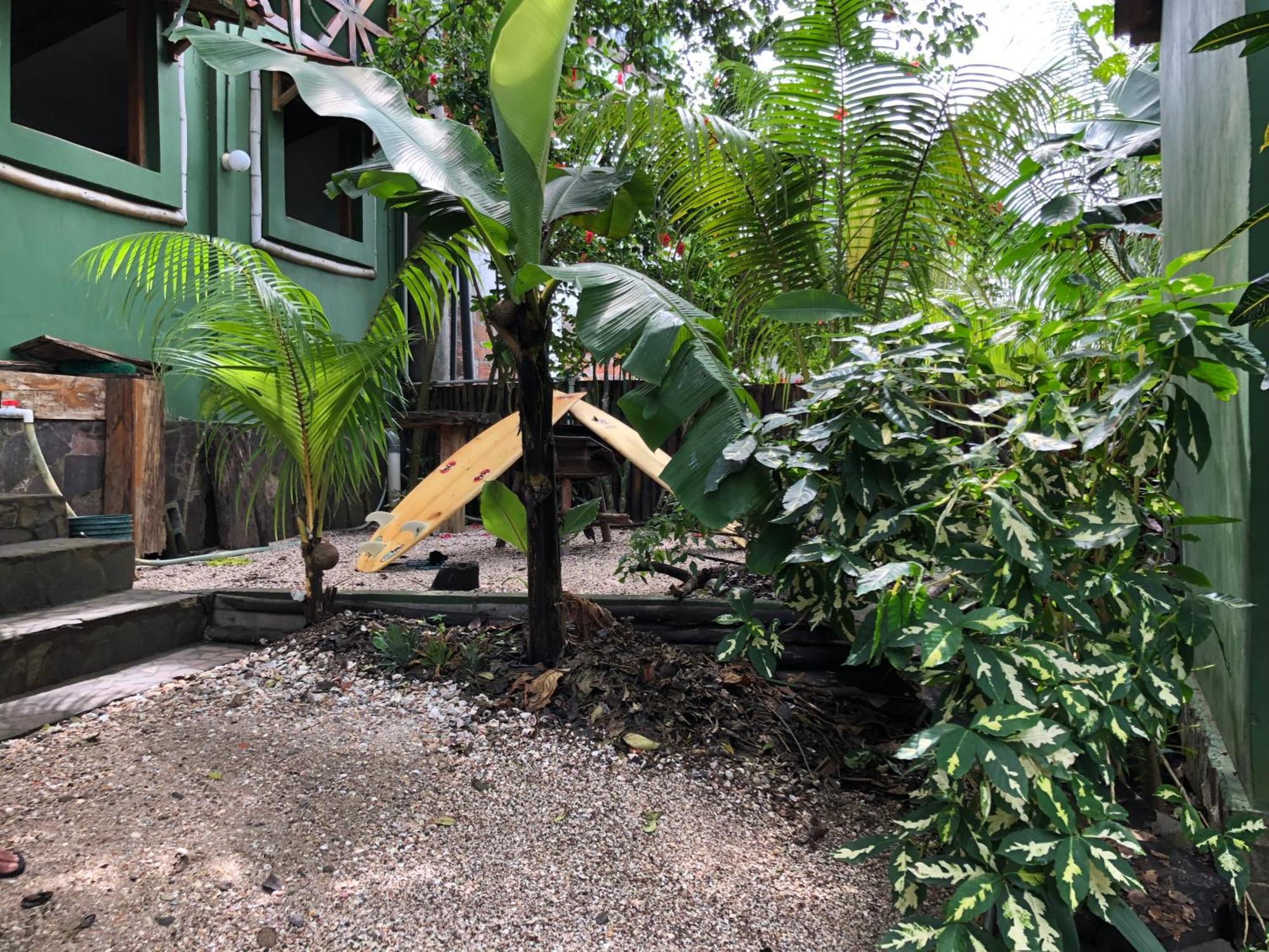 Aposentillo El Marabu Chill'N Surf Bed & Breakfast エクステリア 写真