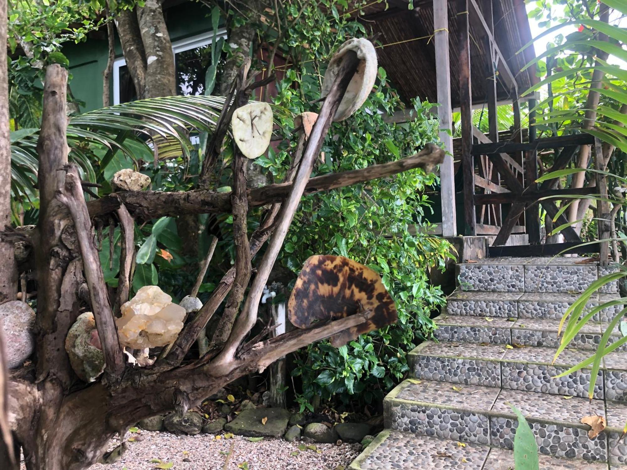 Aposentillo El Marabu Chill'N Surf Bed & Breakfast エクステリア 写真
